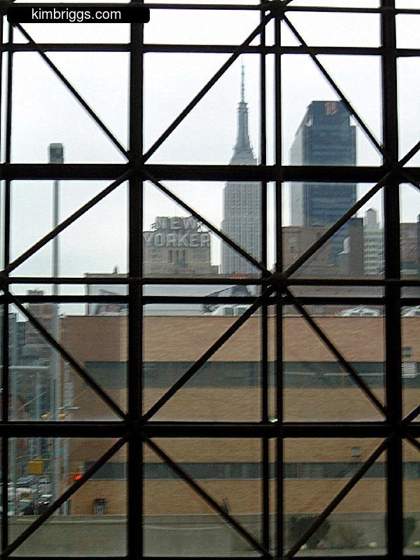 View of Empire State Building from inside grated window.