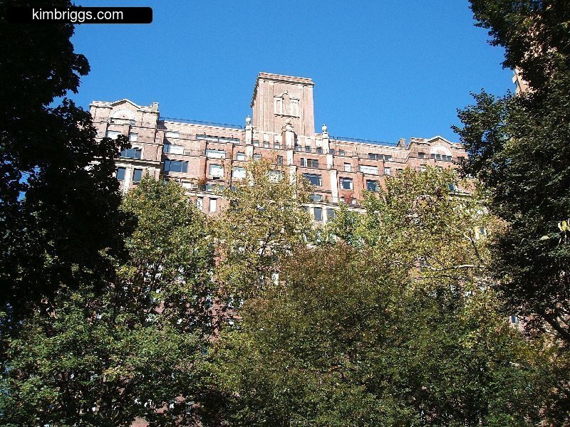 Large apartment building behind row of trees.