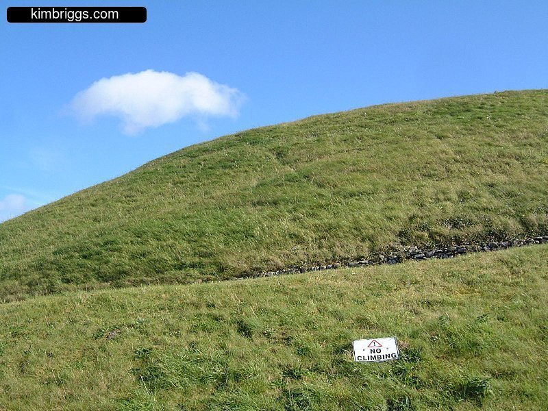 Green grass on hillside with blue sky.