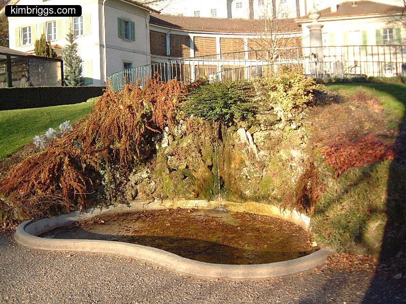 Small outdoor fountain with ferns.