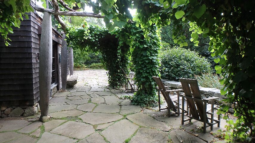 polly hill arboretum 850