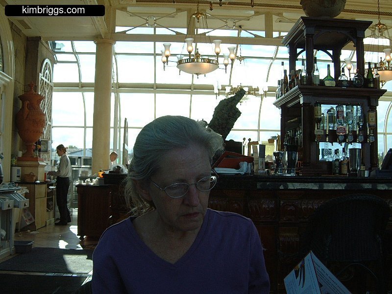 Tea Room / Cafe at Radison St. Helens Hotel Dublin.