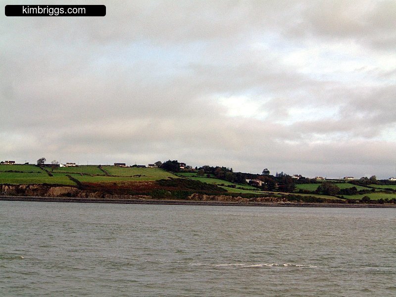 Houses on green hill near shoreline.