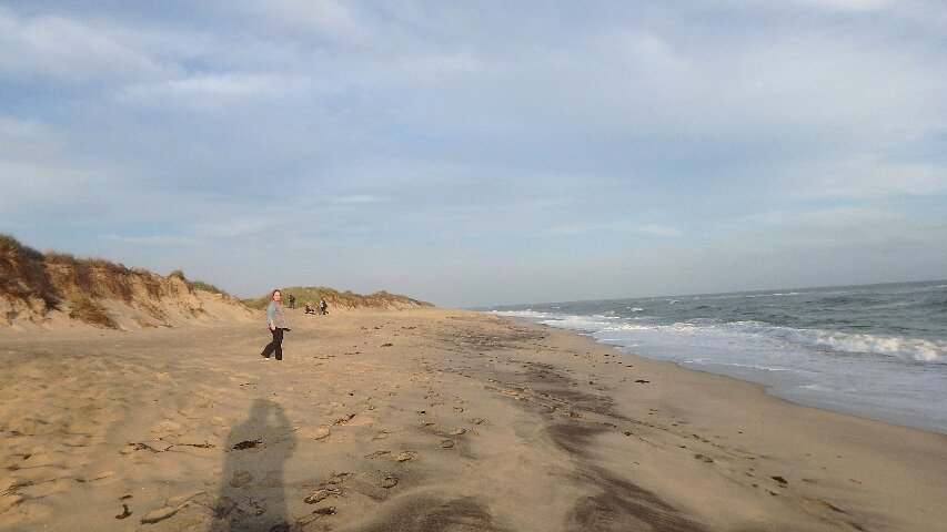 south beach marthas vineyard 850