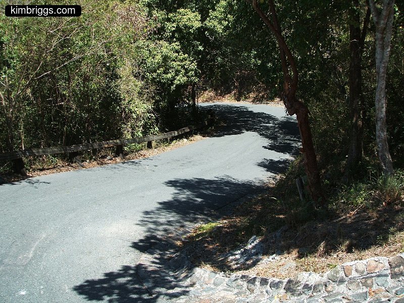 Small S-curve on paved road in the bush.