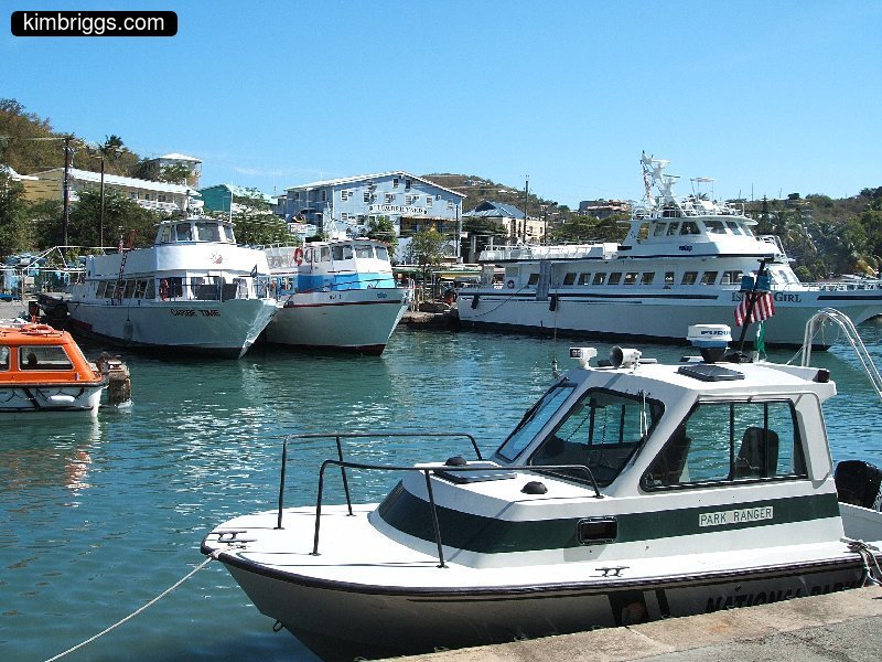 Large pleasure boats at the docks.
