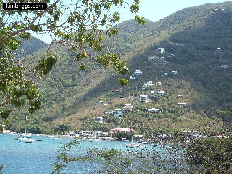 Houses on tropical island hillside.