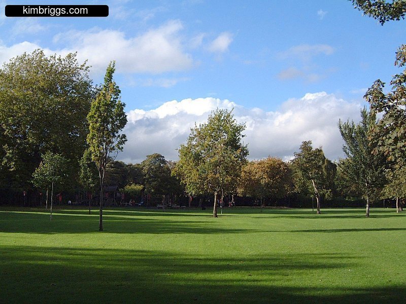 Green grass in St Stephen's Green.