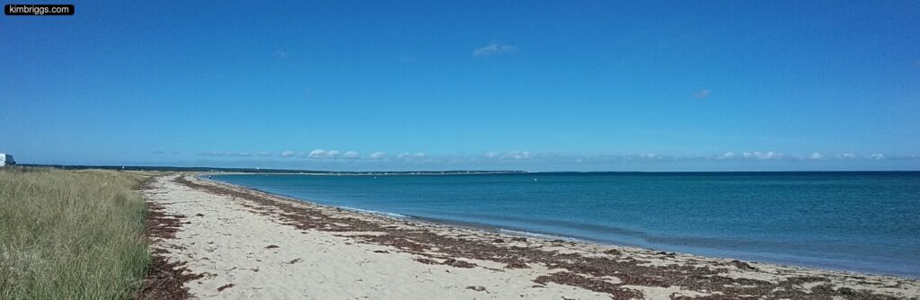 state beach marthas vineyard