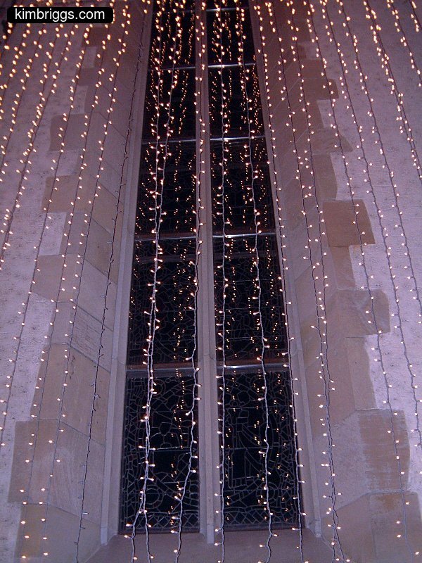 Multiple columns of white Christmas lights.