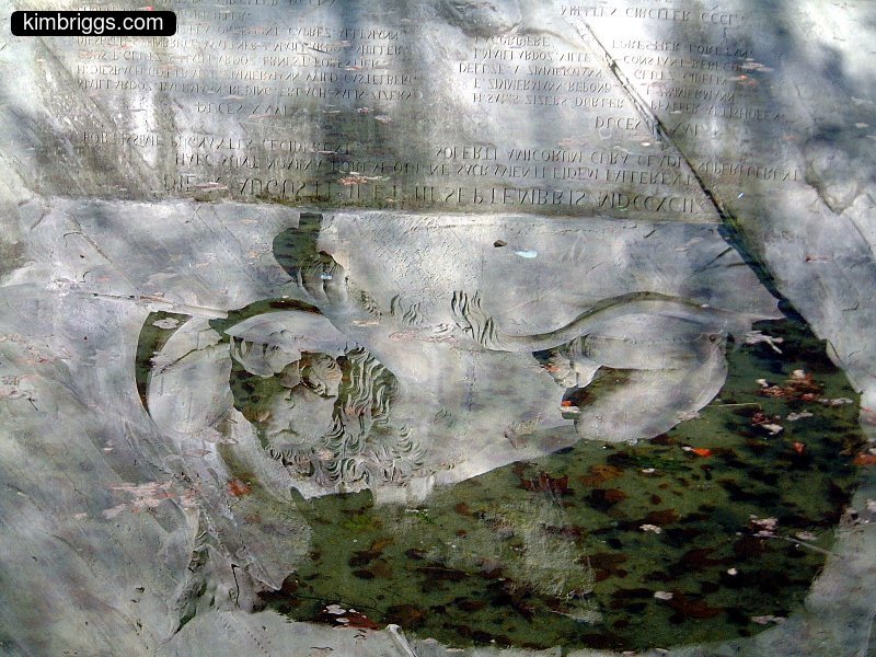 Swiss lion-in-rock sculpture.