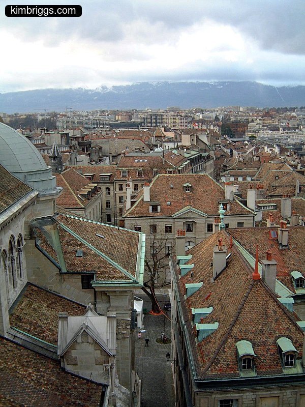 City roofs with orange and brown tiles.