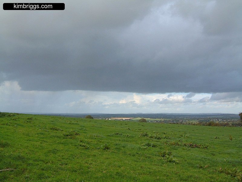Landscape with green grass and blue-gray sky.