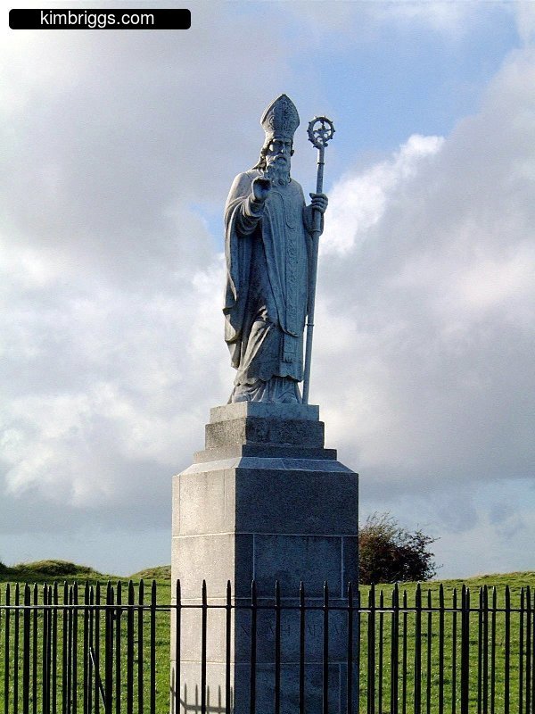 Saint statue at Tara Hill.