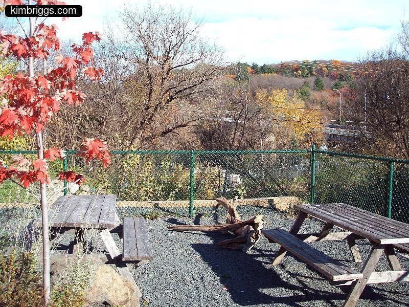 taylors falls minnesota 021