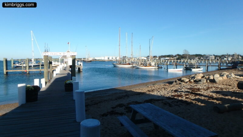 Vineyard Haven harbor