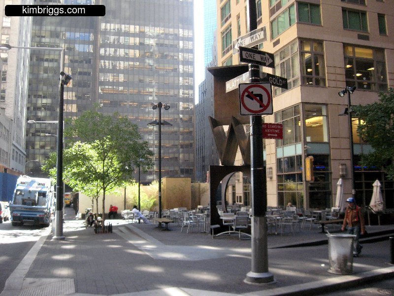wall street financial district nyc 012