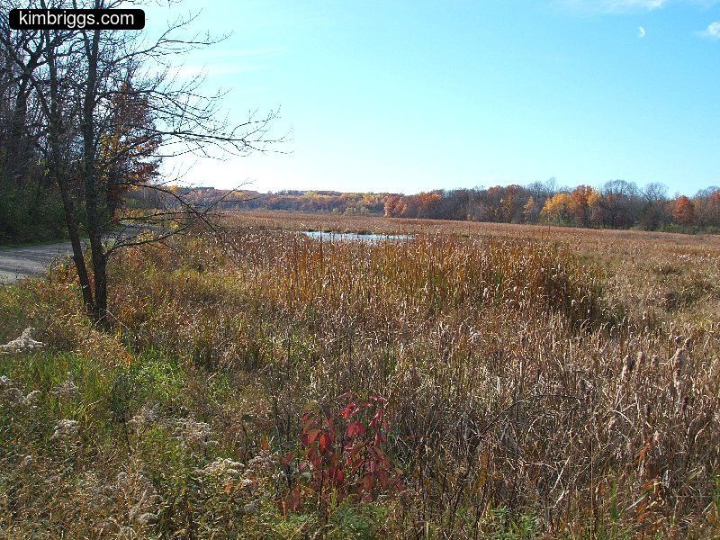 william obrien marsh trail 001