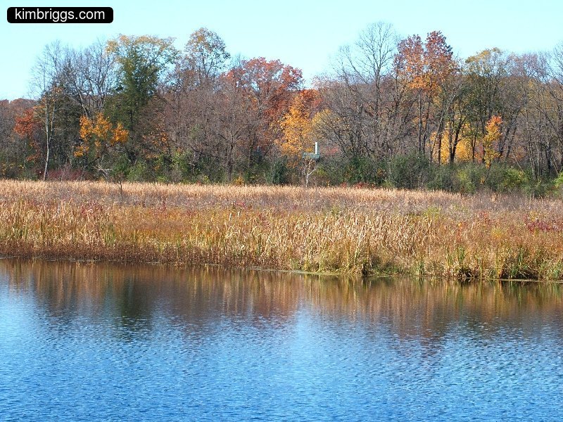 william obrien marsh trail 002