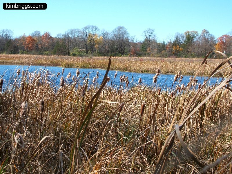 william obrien marsh trail 004
