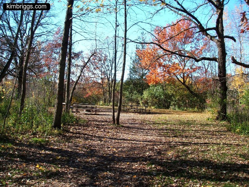 william obrien marsh trail 006