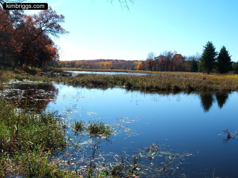 william obrien marsh trail 008