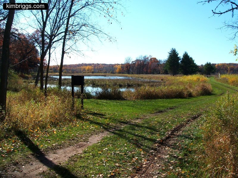 william obrien marsh trail 009