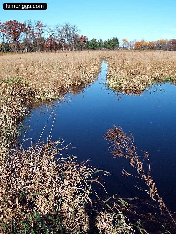 william obrien marsh trail 012