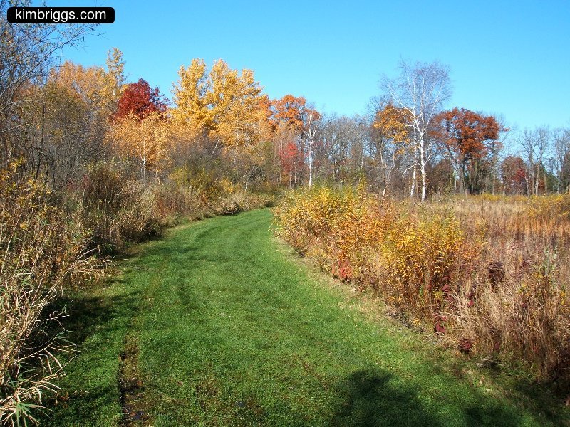 william obrien marsh trail 013