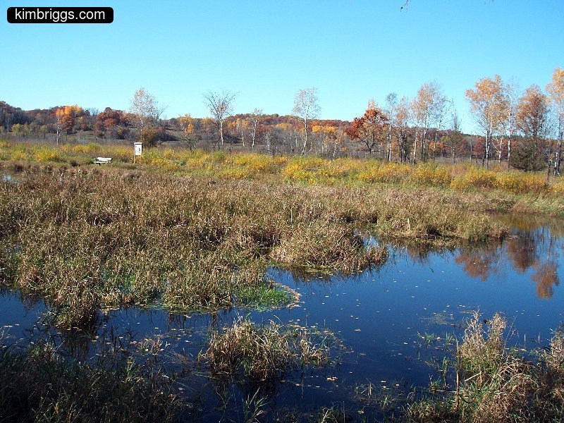 william obrien marsh trail 018