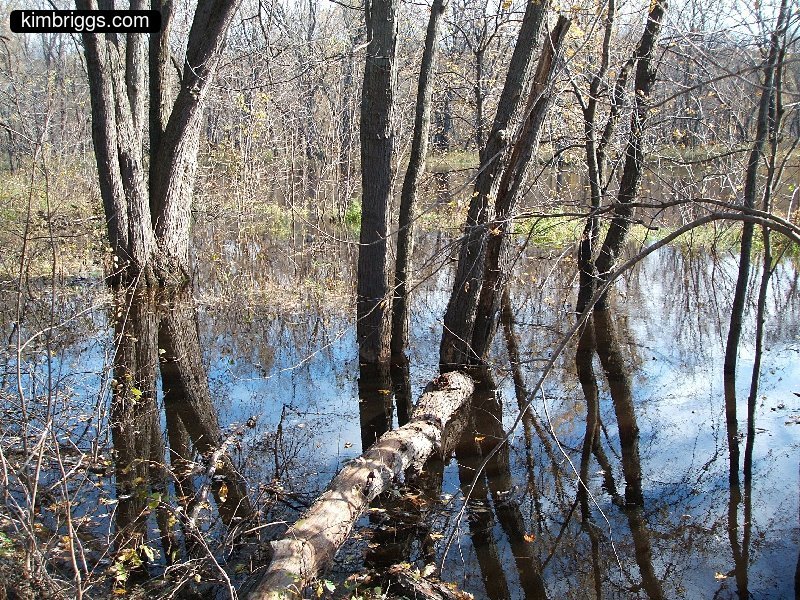 william obrien river trail 010