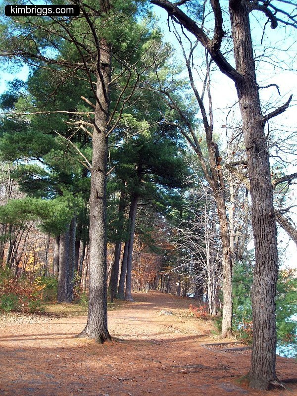 william obrien river trail 017