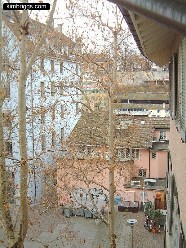 View from Hotel Adler in Zurich.